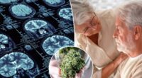 THC may protect against Alzheimerâs when paired with this drug
